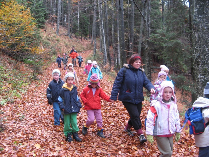 pohod do koče Zarja.JPG