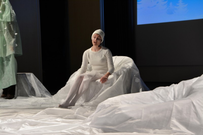 dramatizacija Mala snežinka in prihod Božička 01 (2).jpg