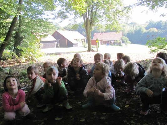 ples listkov v vetru.JPG