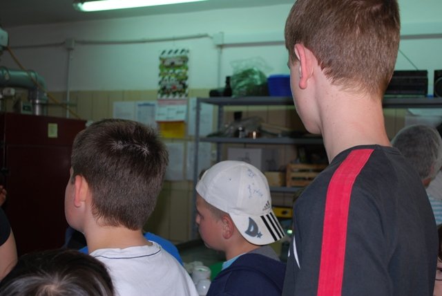 USTVARJALNE DELAVNICE