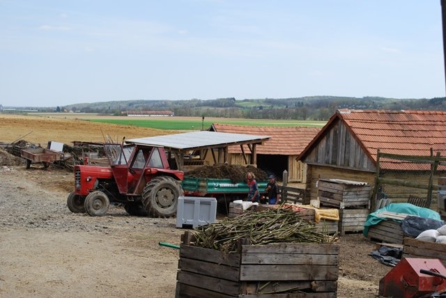 USTVARJALNE DELAVNICE