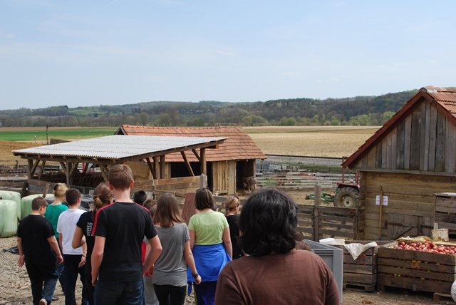 USTVARJALNE DELAVNICE