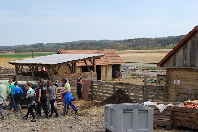 USTVARJALNE DELAVNICE