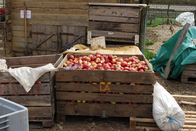 USTVARJALNE DELAVNICE