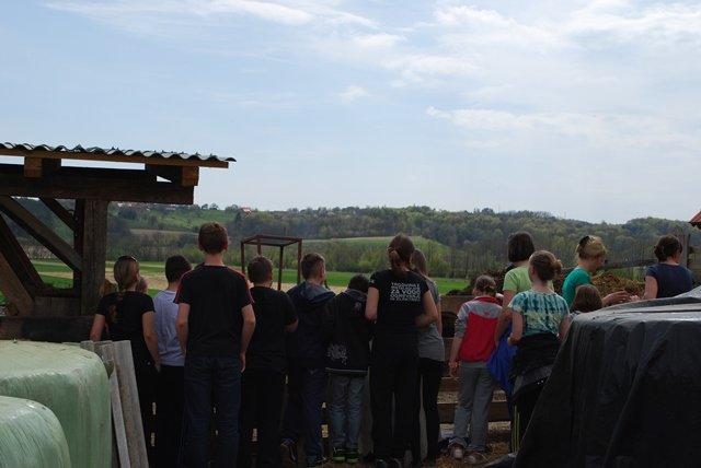 USTVARJALNE DELAVNICE