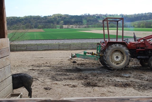 USTVARJALNE DELAVNICE