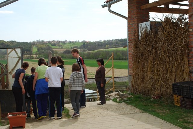 USTVARJALNE DELAVNICE