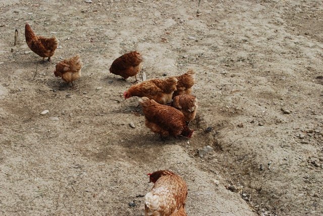 USTVARJALNE DELAVNICE