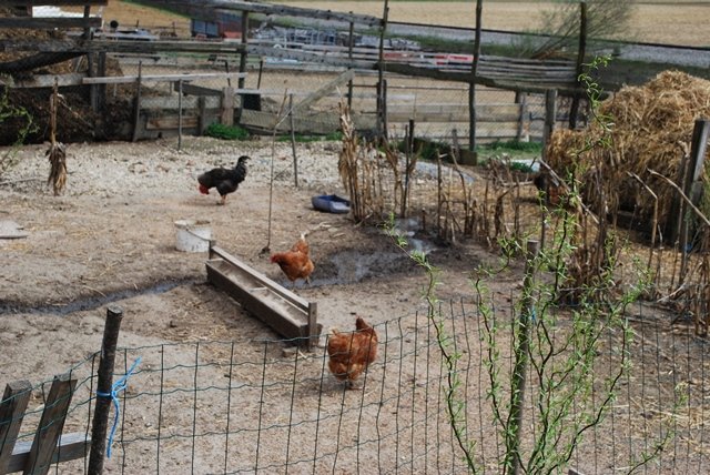 USTVARJALNE DELAVNICE