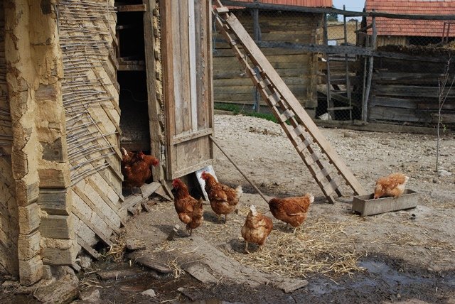 USTVARJALNE DELAVNICE