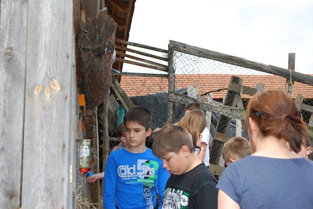 USTVARJALNE DELAVNICE