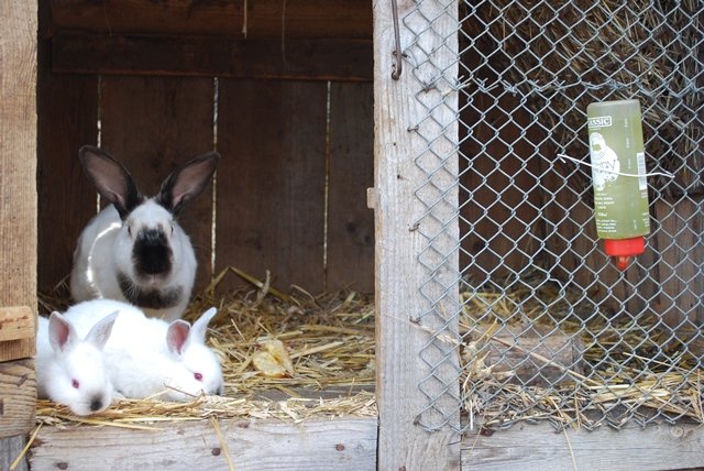 USTVARJALNE DELAVNICE