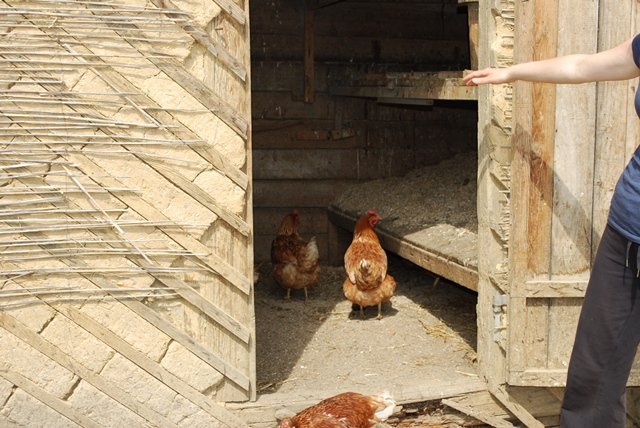 USTVARJALNE DELAVNICE