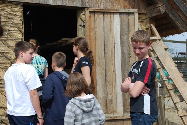 USTVARJALNE DELAVNICE