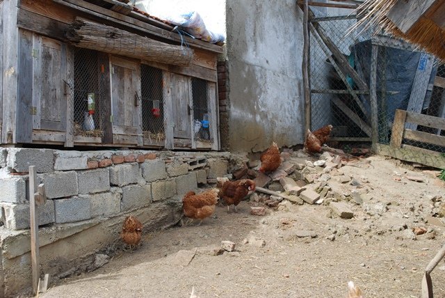 USTVARJALNE DELAVNICE