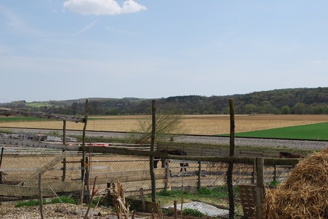 USTVARJALNE DELAVNICE