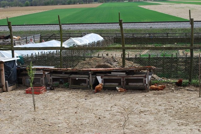 USTVARJALNE DELAVNICE