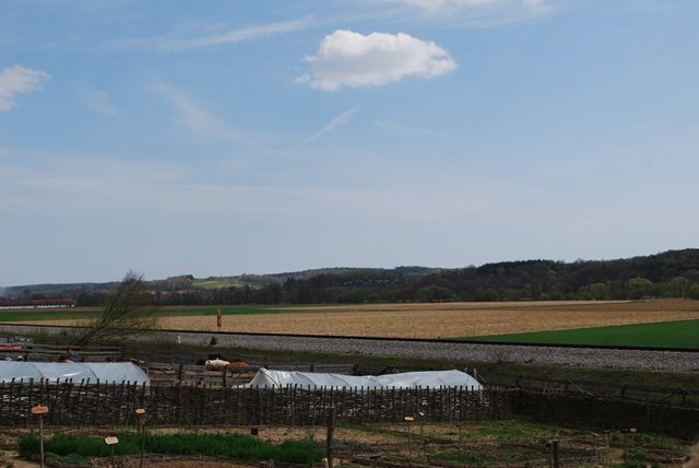 USTVARJALNE DELAVNICE