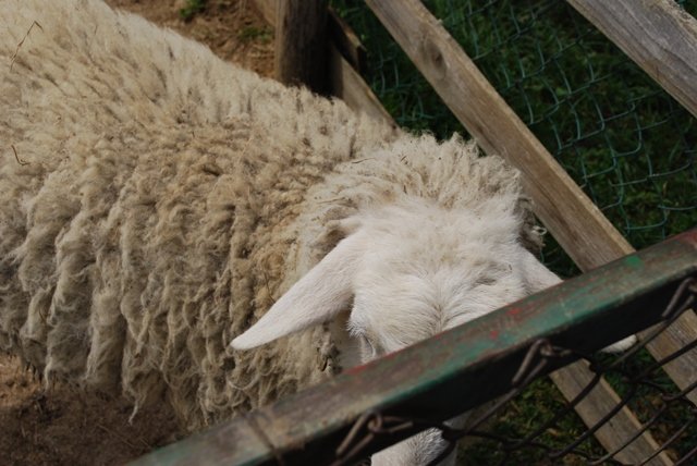 USTVARJALNE DELAVNICE