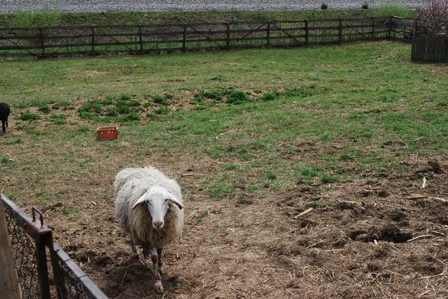 USTVARJALNE DELAVNICE