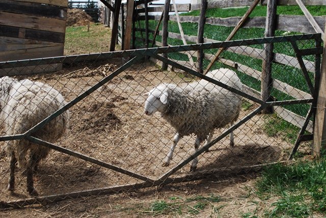 USTVARJALNE DELAVNICE