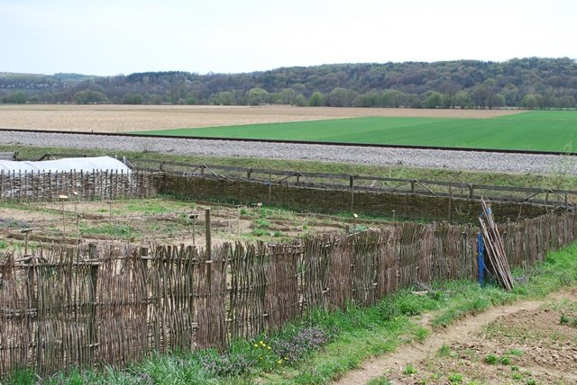 USTVARJALNE DELAVNICE