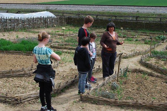 USTVARJALNE DELAVNICE