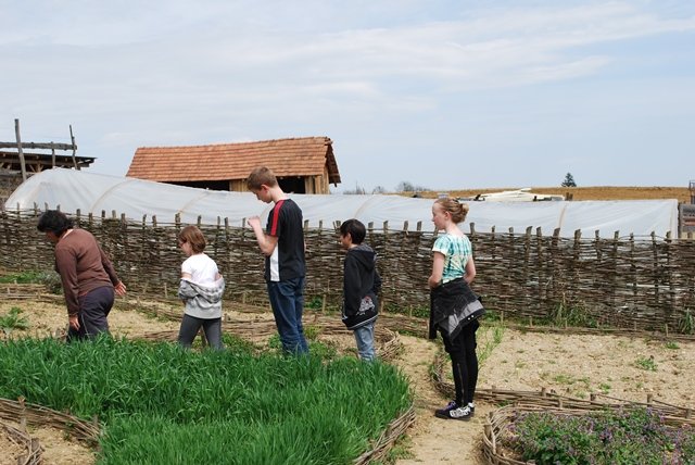 USTVARJALNE DELAVNICE