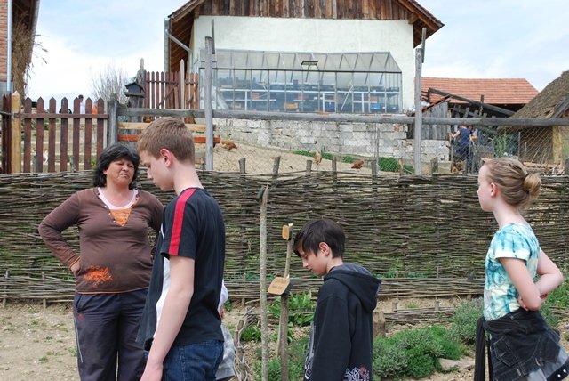 USTVARJALNE DELAVNICE