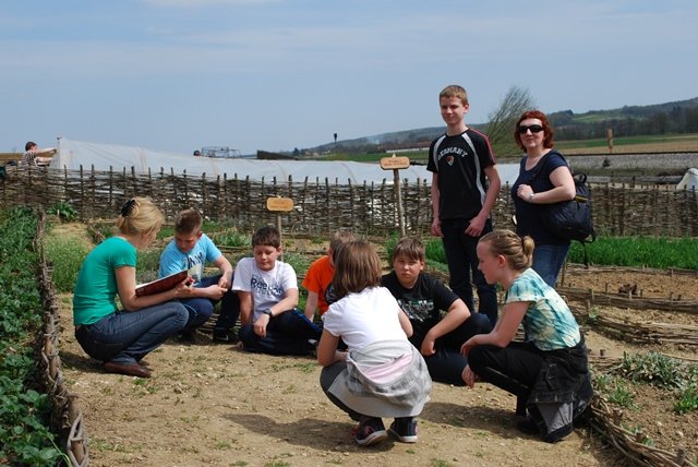 USTVARJALNE DELAVNICE