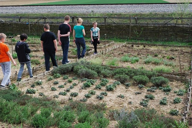 USTVARJALNE DELAVNICE