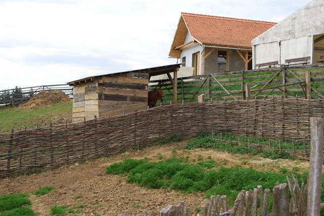 USTVARJALNE DELAVNICE