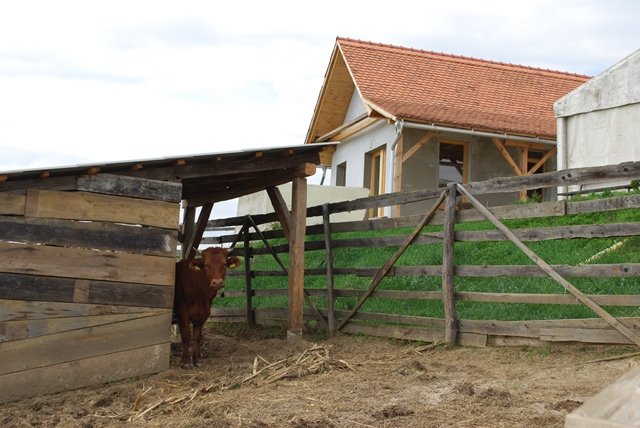 USTVARJALNE DELAVNICE