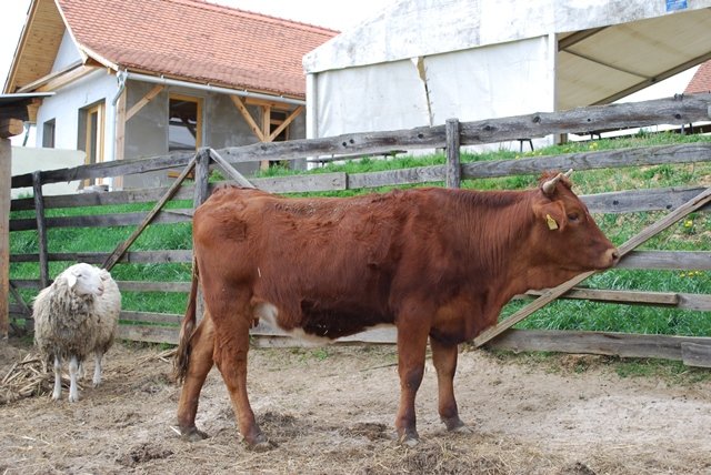 USTVARJALNE DELAVNICE