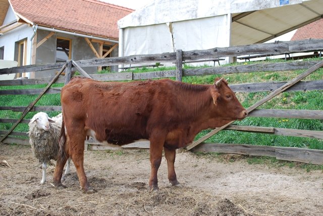 USTVARJALNE DELAVNICE