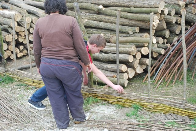 USTVARJALNE DELAVNICE