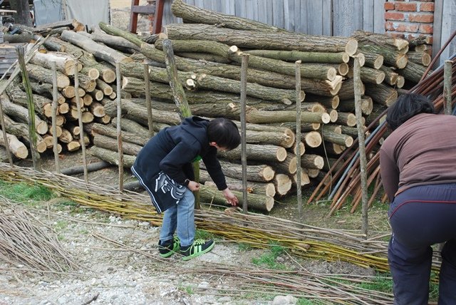 USTVARJALNE DELAVNICE