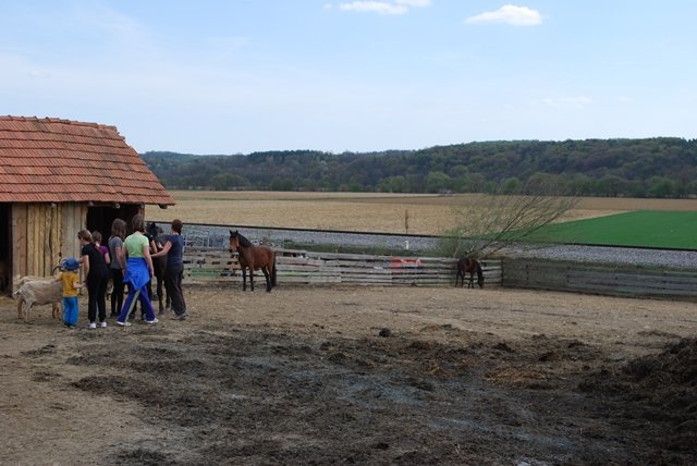 USTVARJALNE DELAVNICE