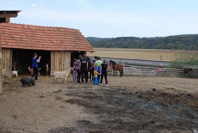 USTVARJALNE DELAVNICE