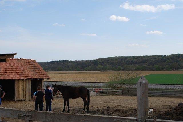 USTVARJALNE DELAVNICE