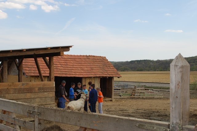 USTVARJALNE DELAVNICE