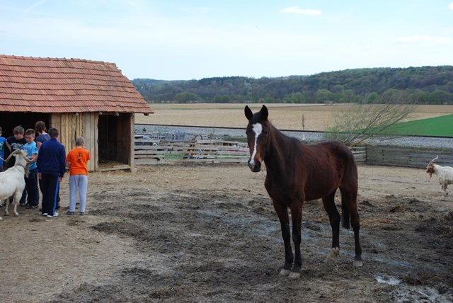 USTVARJALNE DELAVNICE