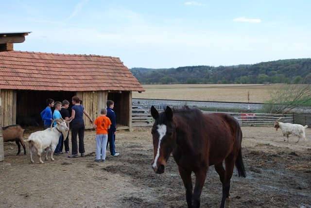 USTVARJALNE DELAVNICE