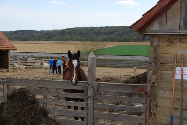 USTVARJALNE DELAVNICE