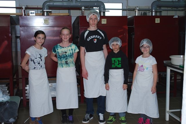 USTVARJALNE DELAVNICE