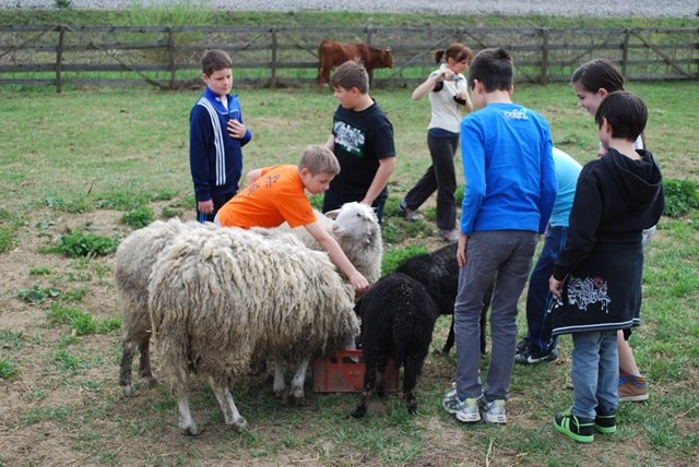 USTVARJALNE DELAVNICE