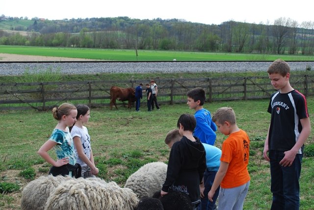 USTVARJALNE DELAVNICE