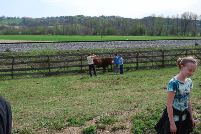 USTVARJALNE DELAVNICE