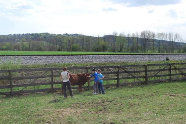 USTVARJALNE DELAVNICE