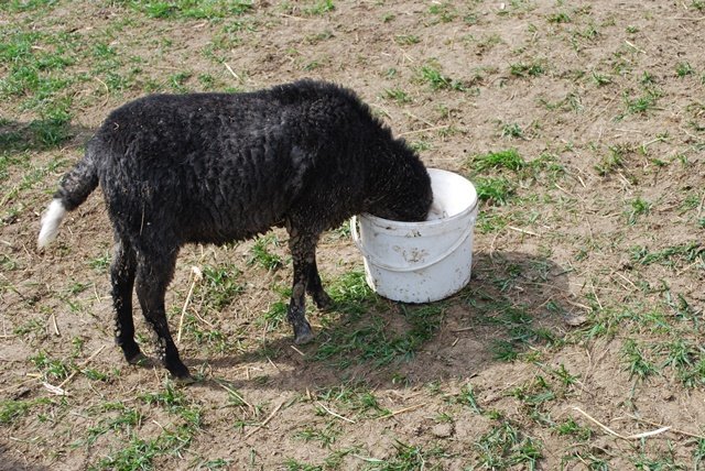 USTVARJALNE DELAVNICE